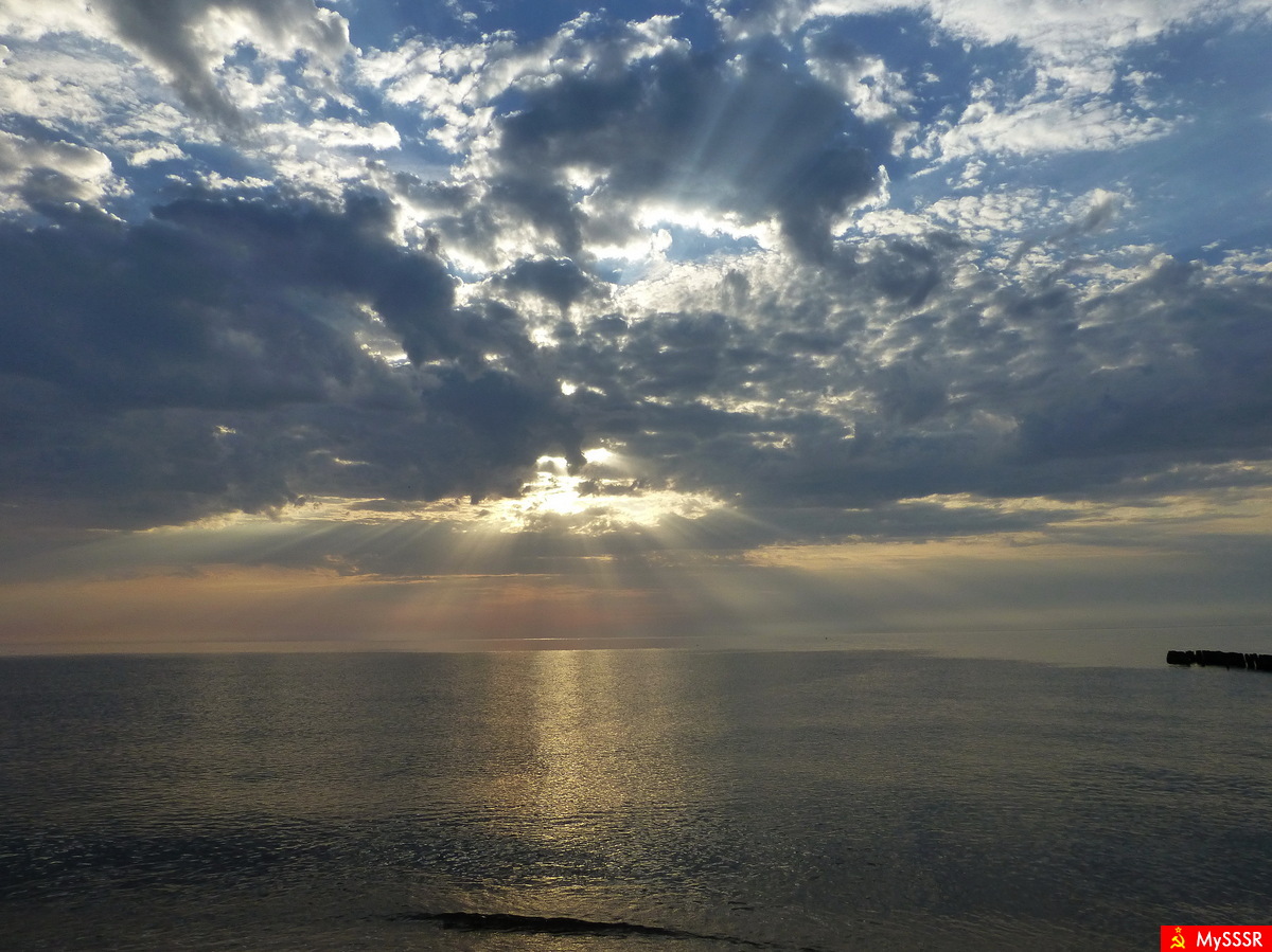 Nature Photo.  .