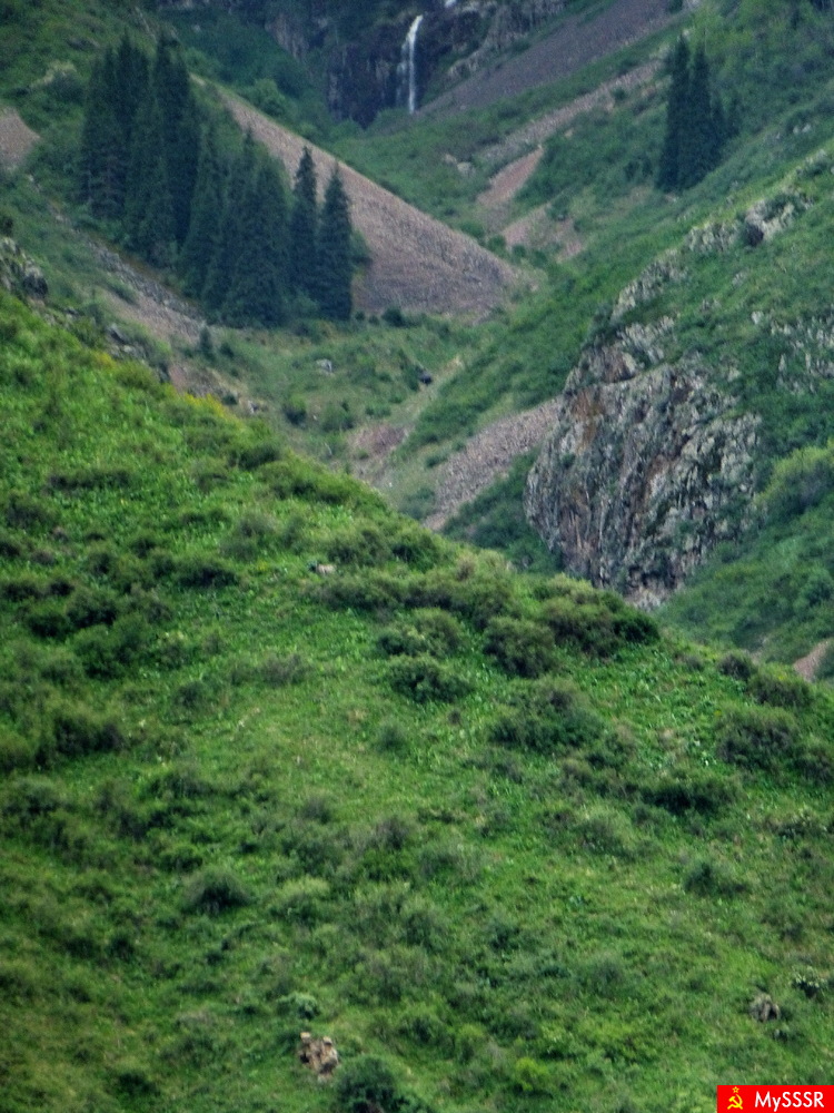 Nature Life.  .  .