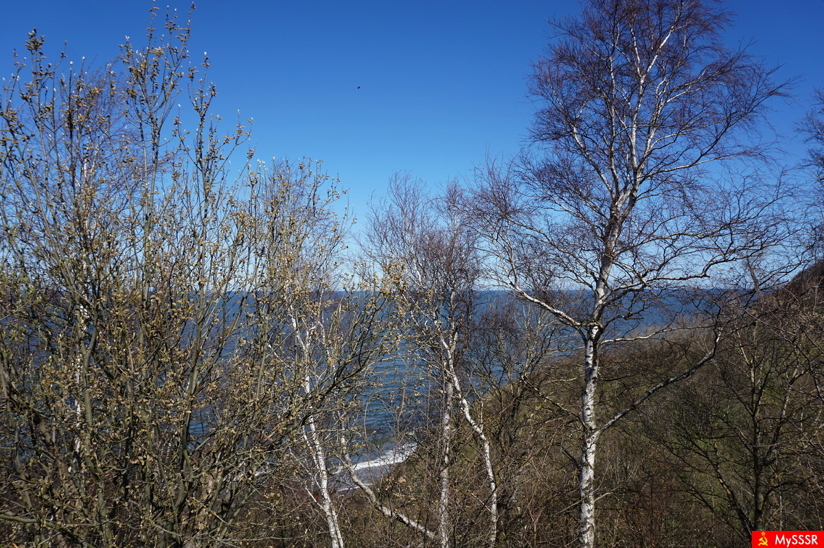 Nature Photo.  .
