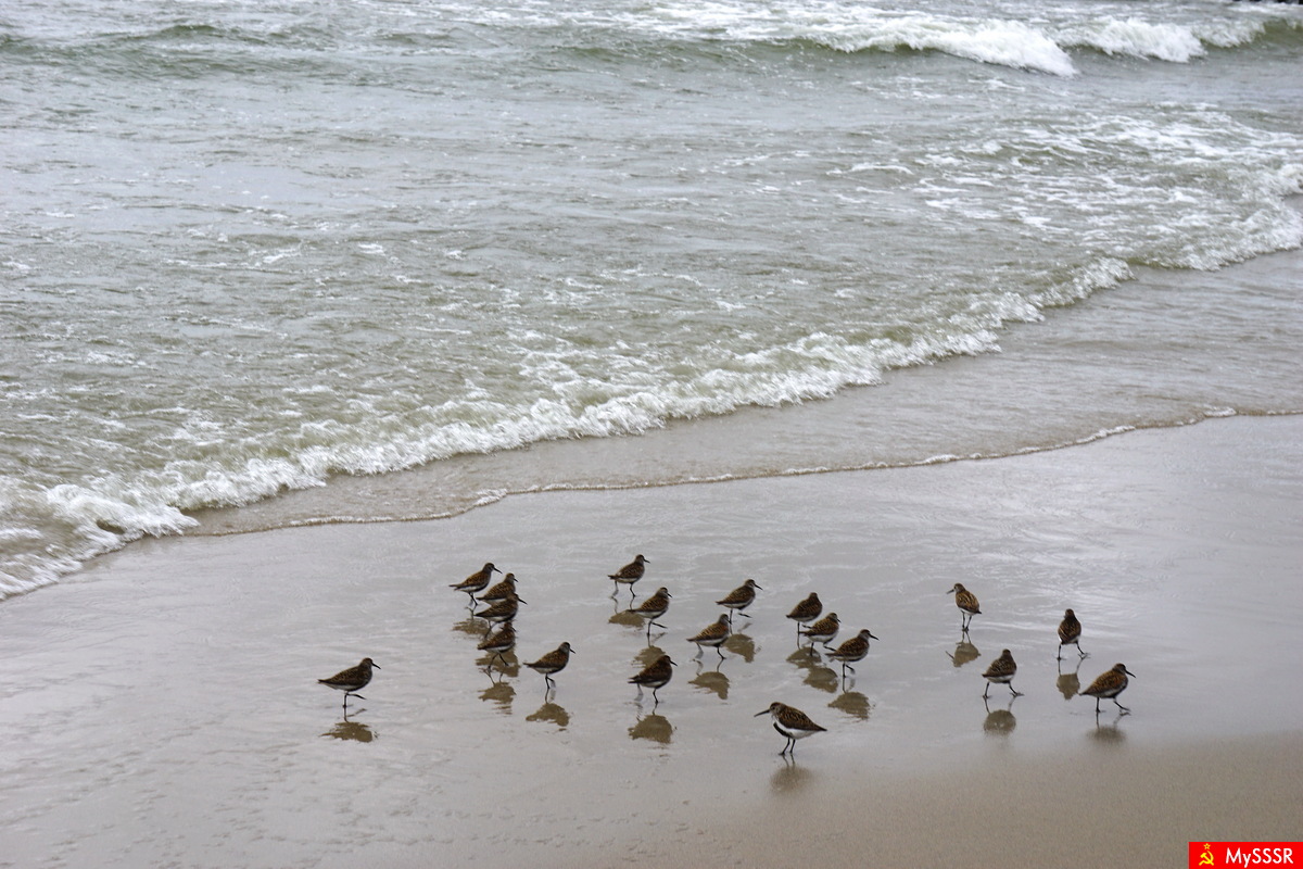 Nature Photo.  .