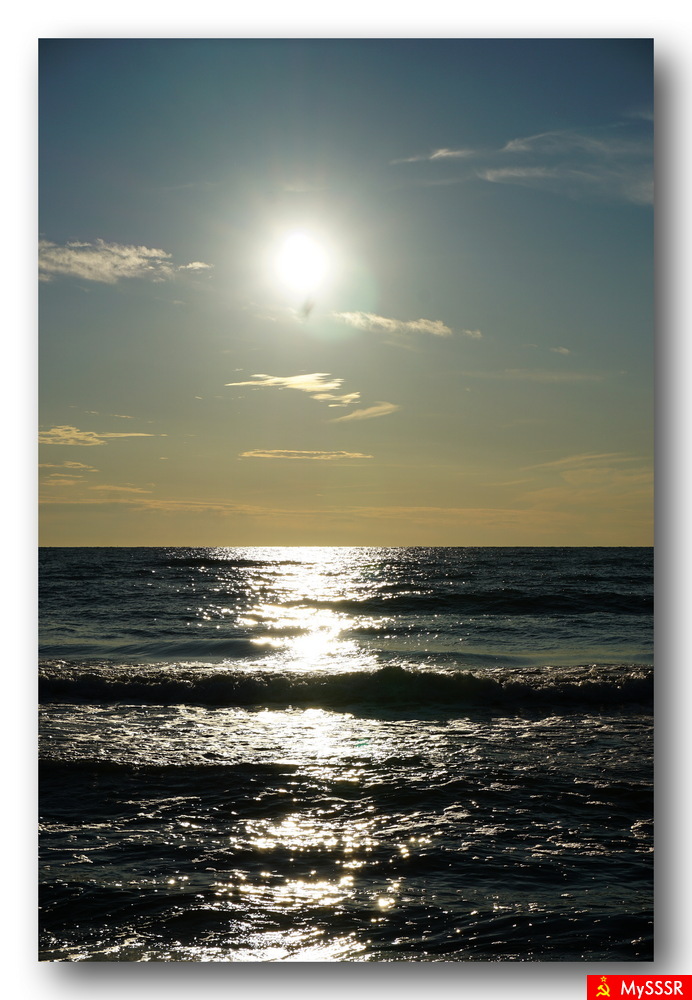 Nature Photo.  .