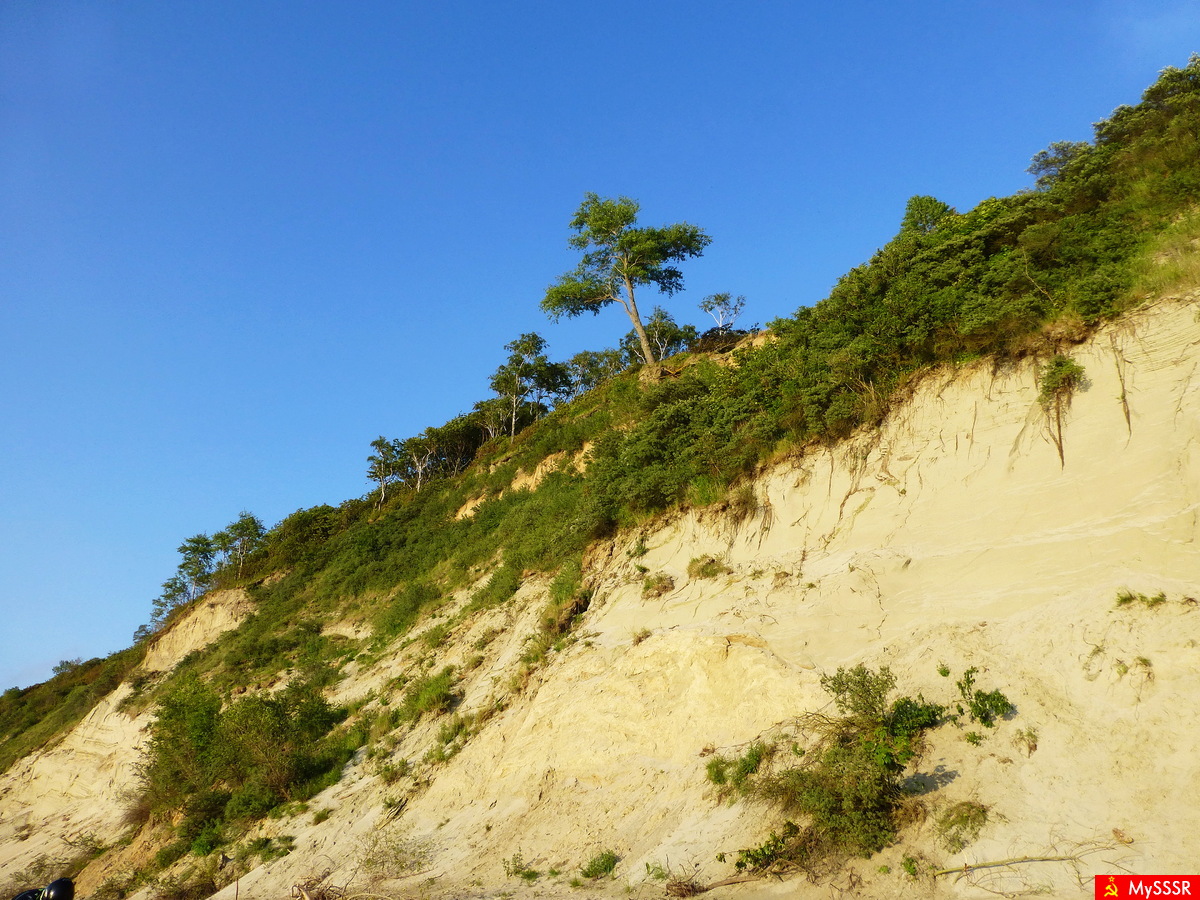 Nature Photo.  .