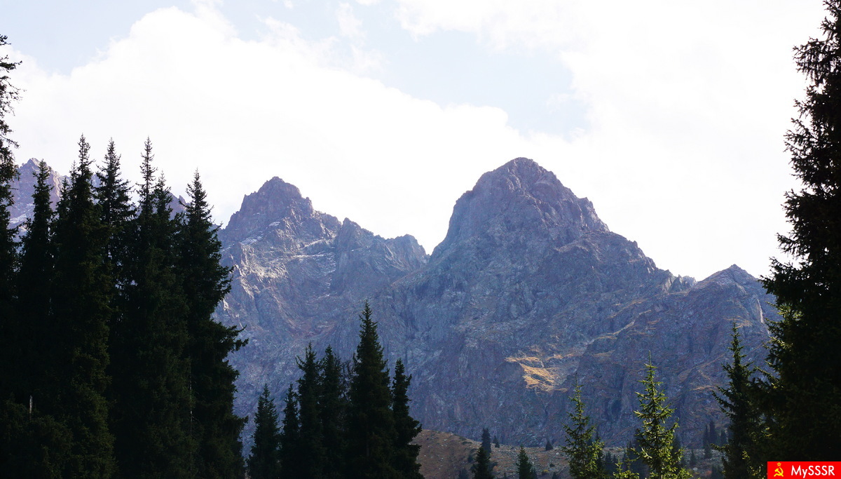 Nature Photo. .