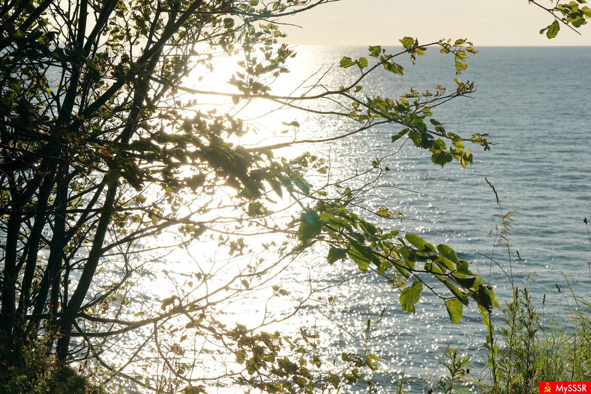 Nature Photo.  .