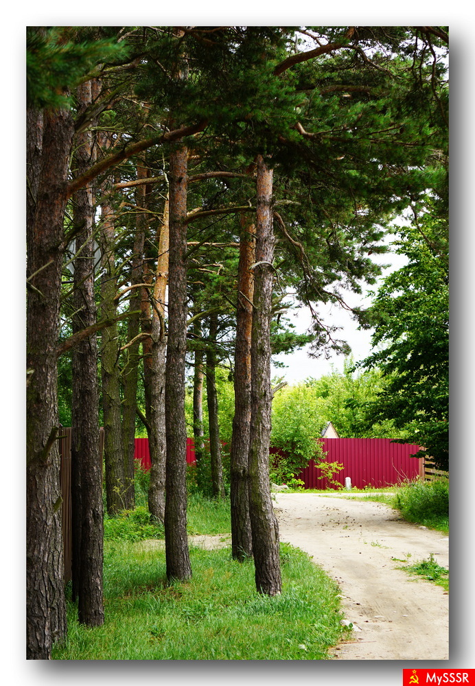 Nature Photo.  .