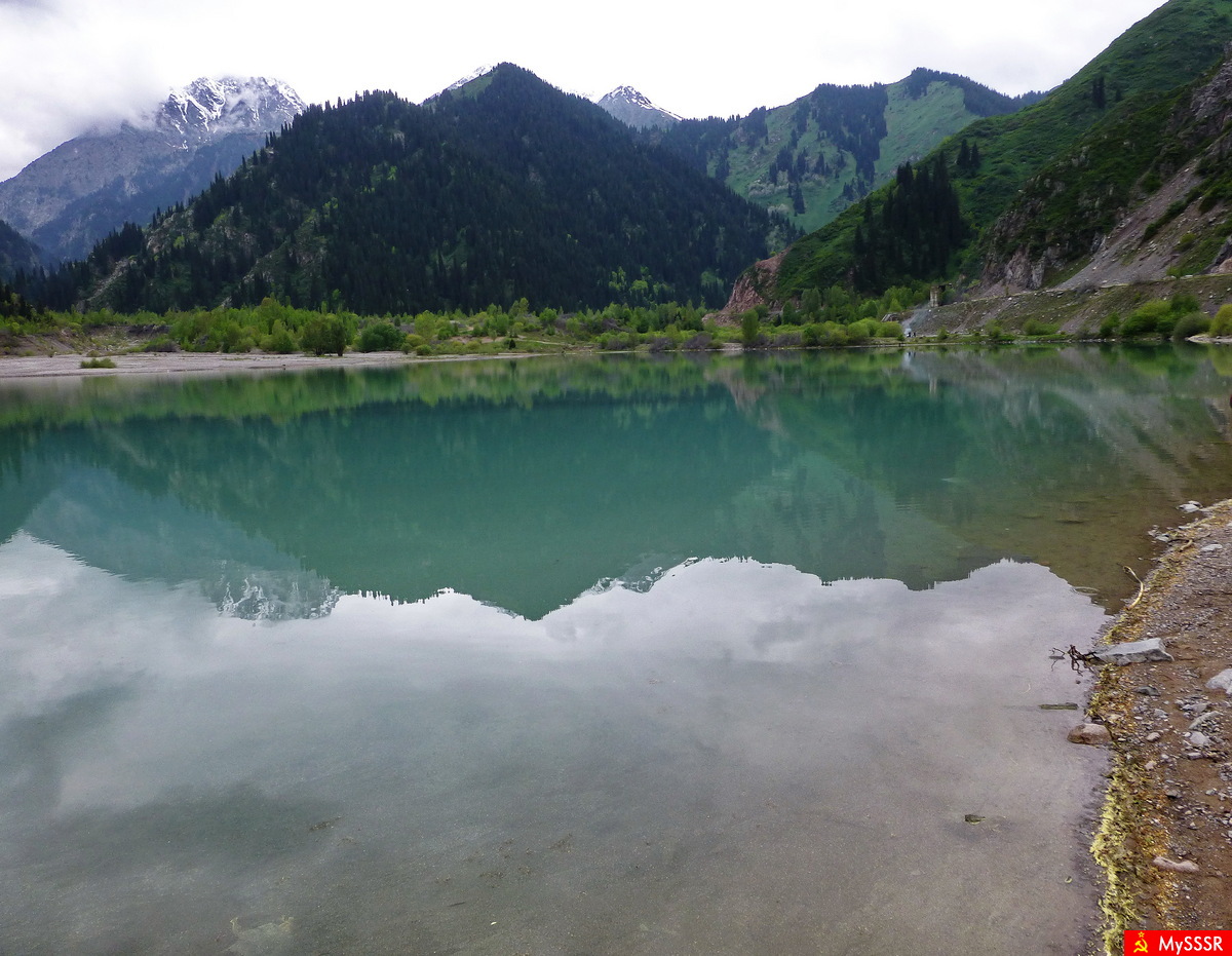    2015 