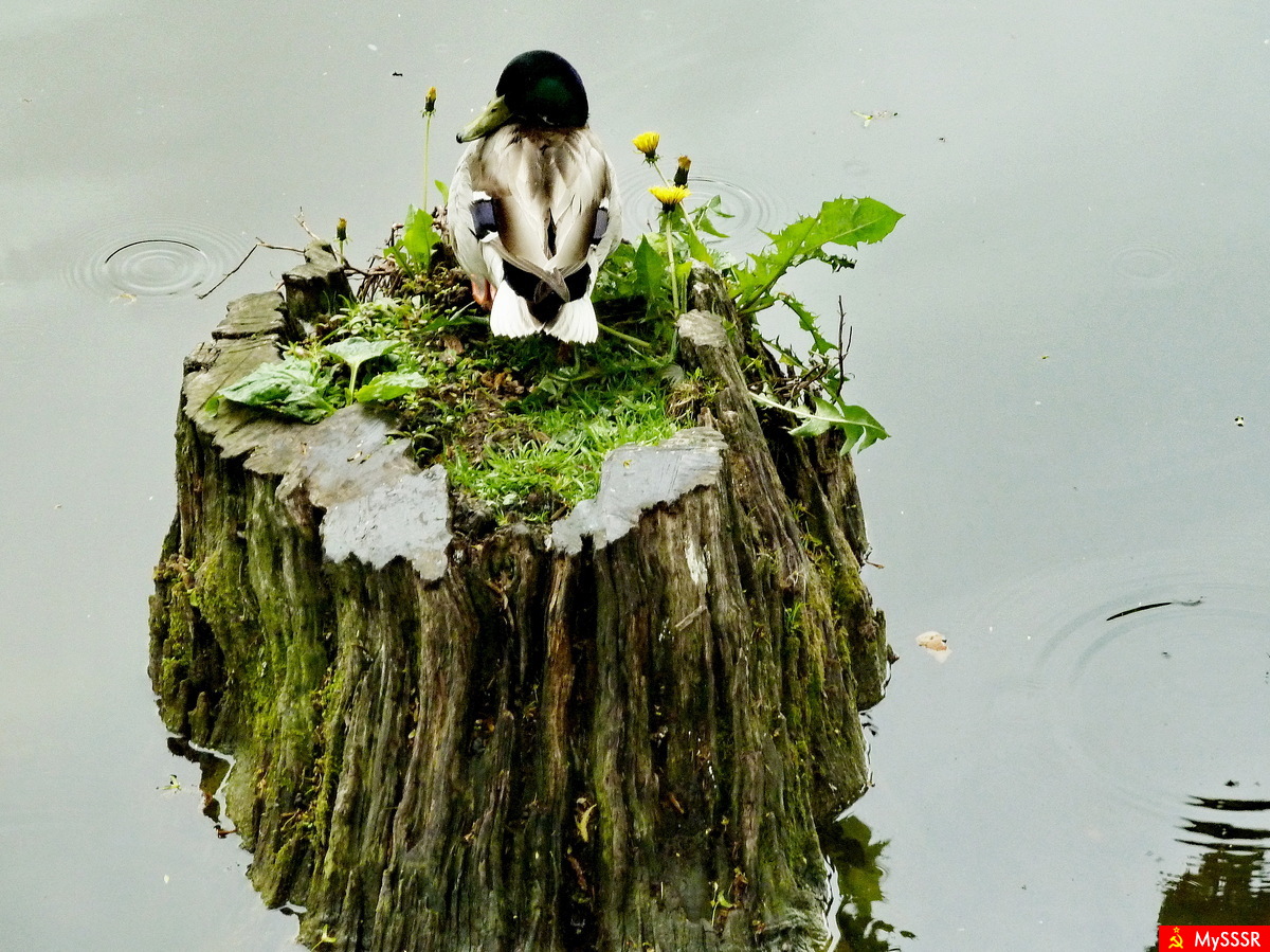 Photo Nature.