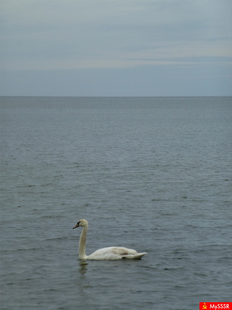 Photo Nature.  .