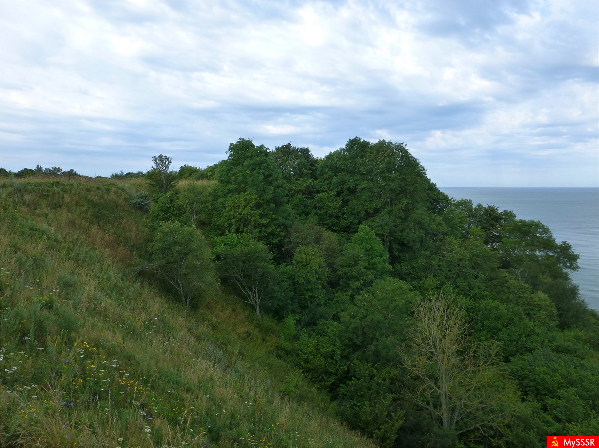 Nature Photo.  .