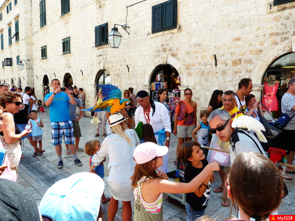 Tourism  .