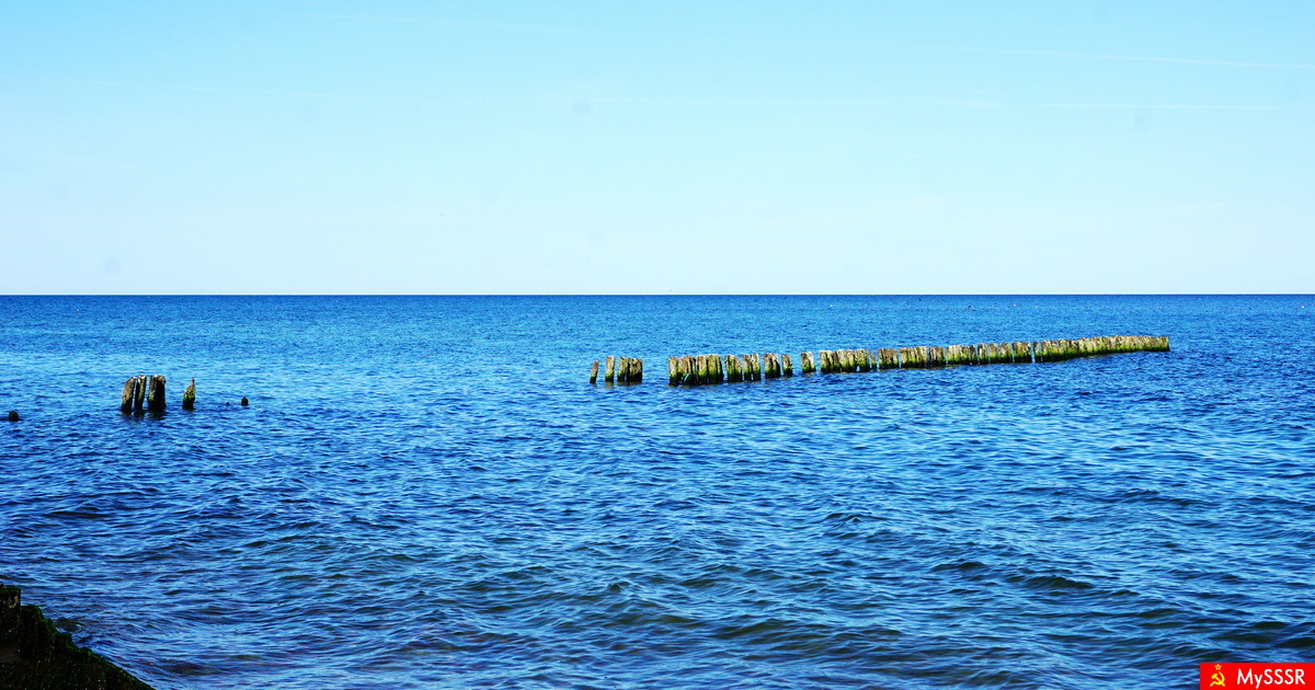 Nature Photo.  .