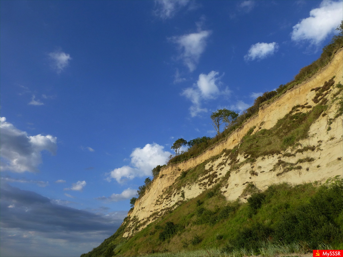 Nature Photo.  .