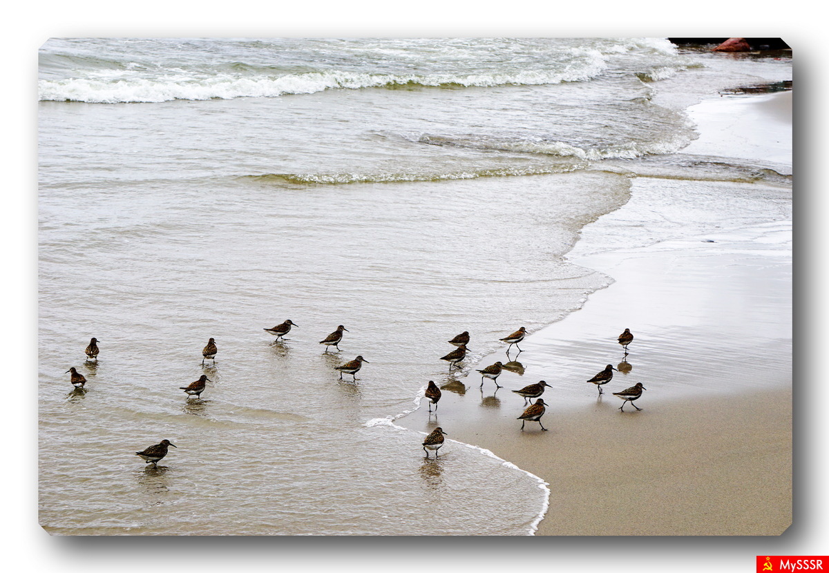 Nature Photo.  .