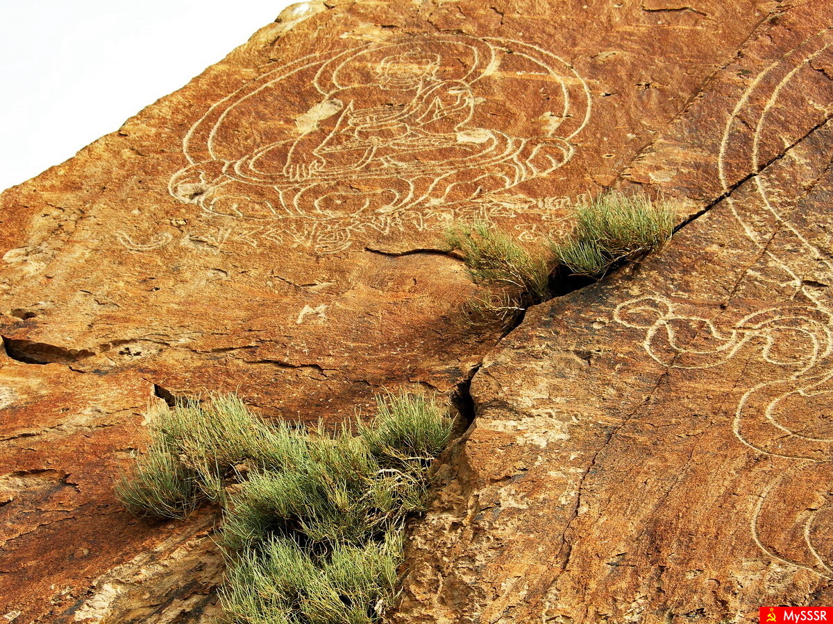 Photo Nature.    ( )
