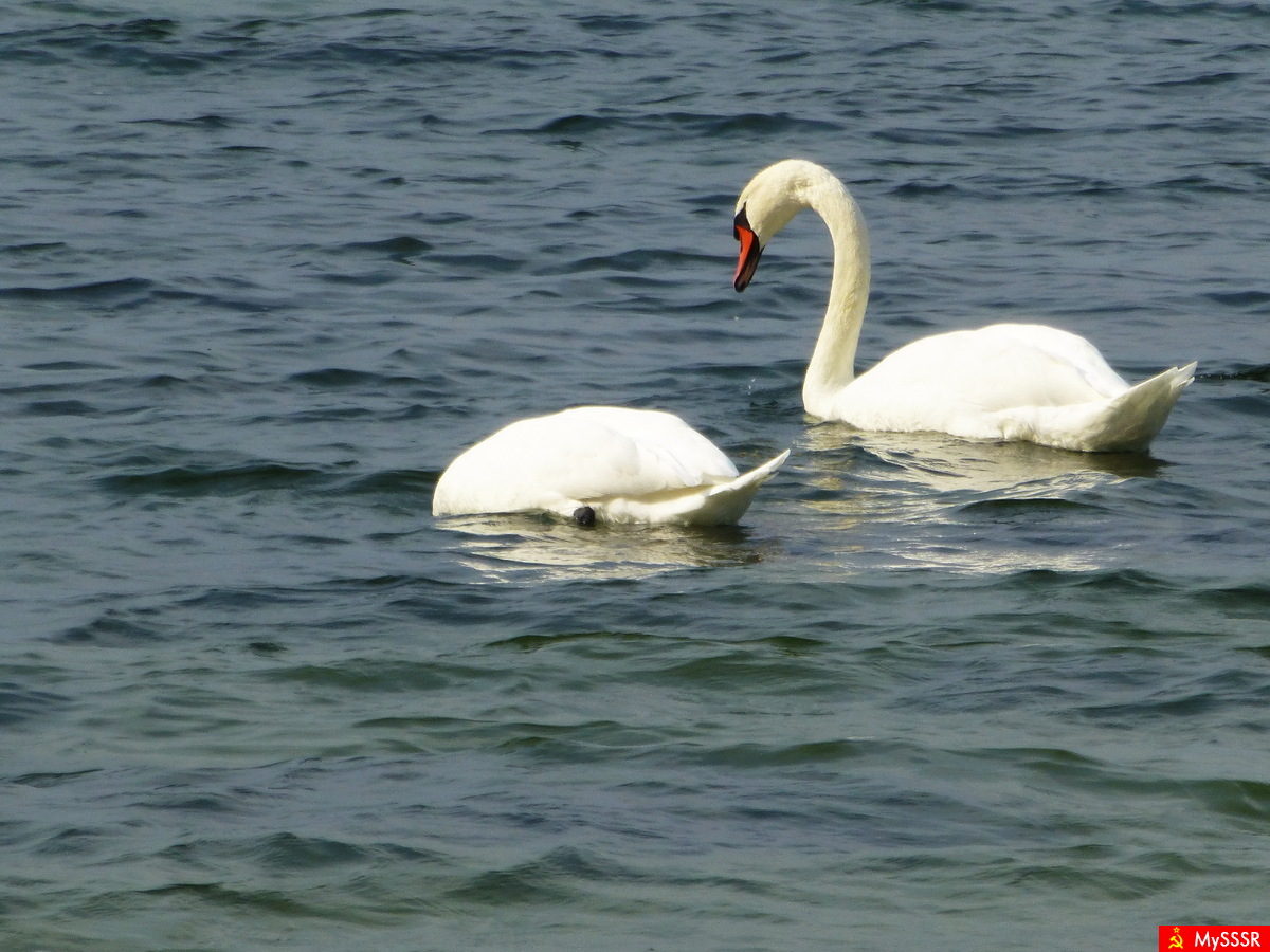 Photo Nature.  .