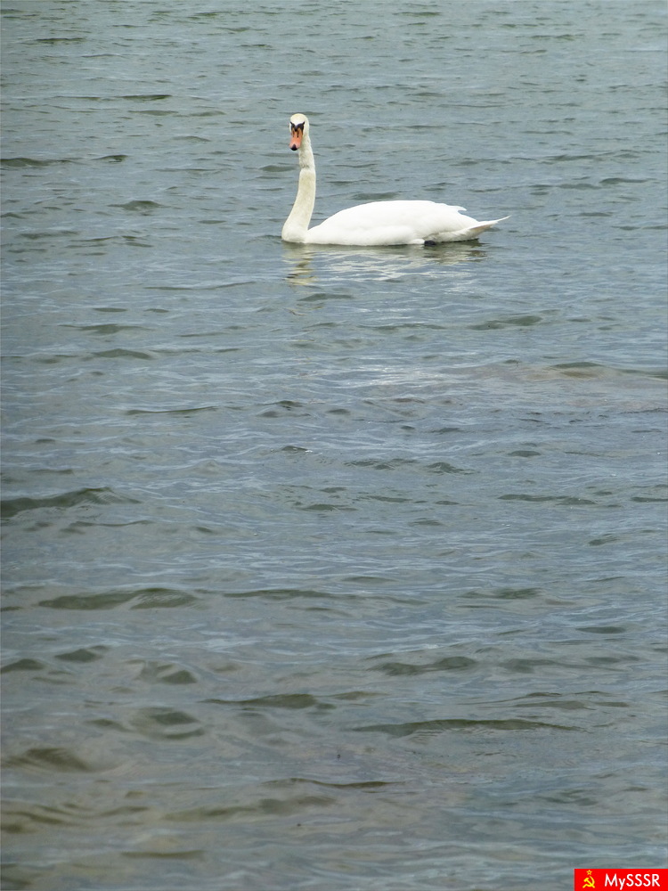 Photo Nature.  .