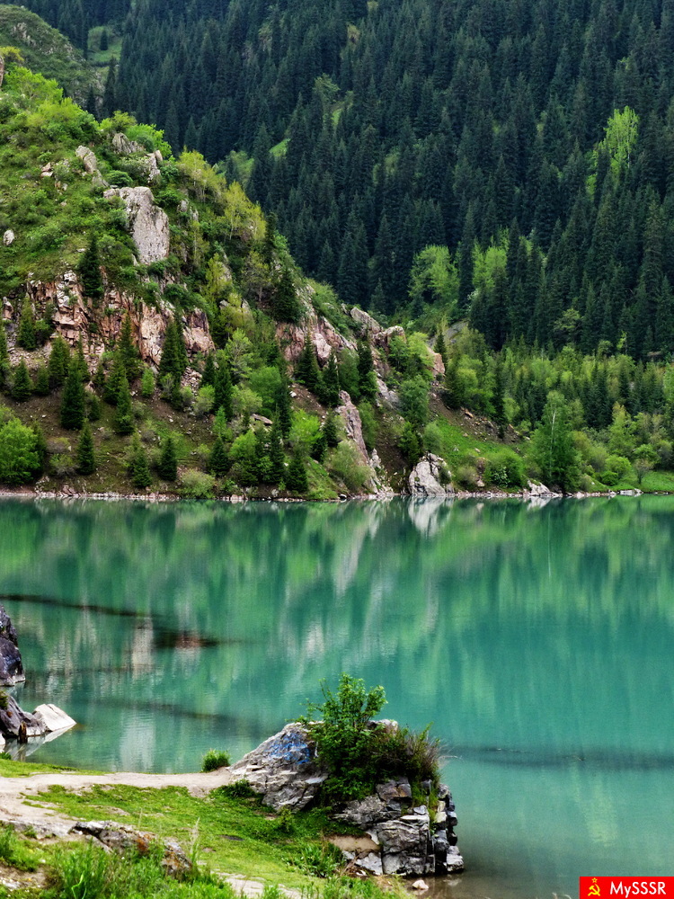 Nature.   .  .