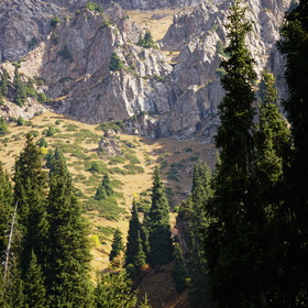 Nature Photo. .
