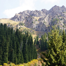 Nature Photo. .