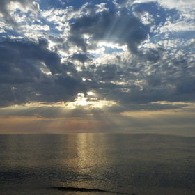 Nature Photo.  .