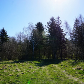 Nature Photo.  .