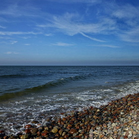Nature Photo.  .
