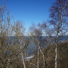 Nature Photo.  .