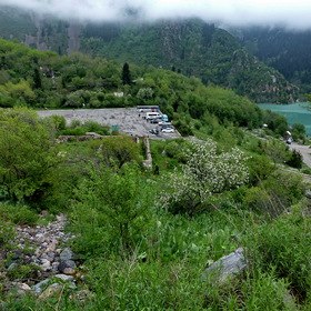 Nature Life.  .