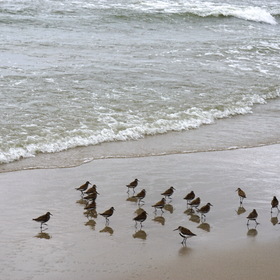 Nature Photo.  .