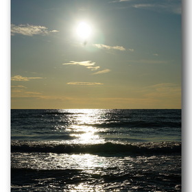 Nature Photo.  .