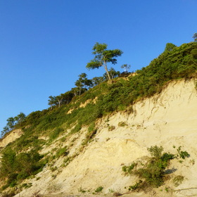 Nature Photo.  .