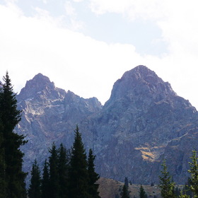 Nature Photo. .