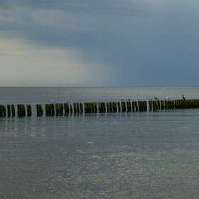 Nature Photo.  .