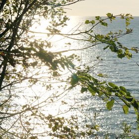 Nature Photo.  .