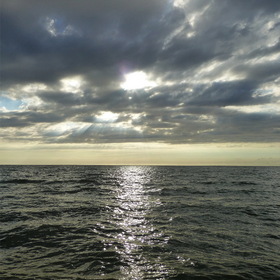 Photo Nature.  .