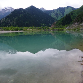    2015 