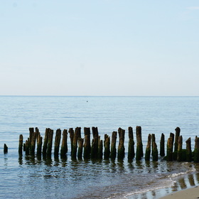 Nature Photo.  .