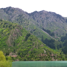 Photo Nature.  .