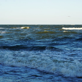 Nature Photo.  .