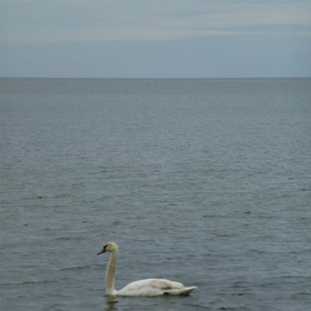 Photo Nature.  .