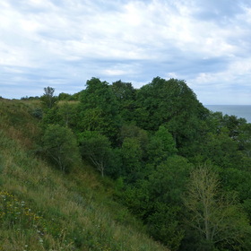 Nature Photo.  .