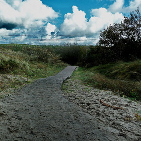 Nature Life.    .