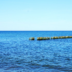 Nature Photo.  .