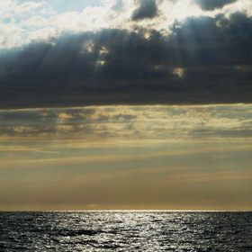 Nature Photo.  .