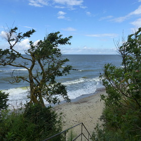 Nature Photo.  .
