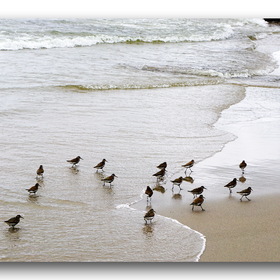 Nature Photo.  .