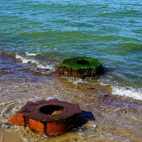 Nature Photo.  .