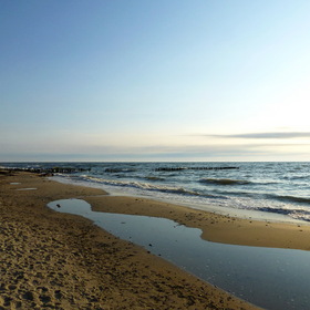 Nature Photo.  .