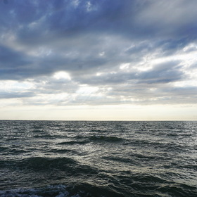 Nature Photo.  .