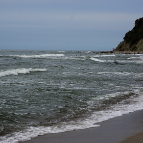 Nature Photo.  .